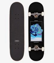 Skatedeluxe Rose 8.25" Komplettboard (black)