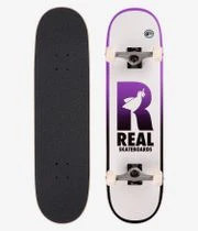 Real Be Free 8.25" Komplettboard (multi)