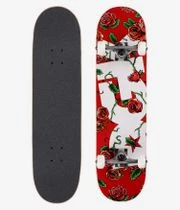 DGK Bloom 8" Komplettboard (multi)