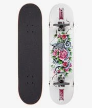 DGK Snapdragon 8" Komplettboard (white)