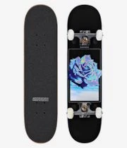 Skatedeluxe Rose 7" Komplettboard (black)