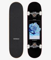 Skatedeluxe Rose 8.125" Komplettboard (black)
